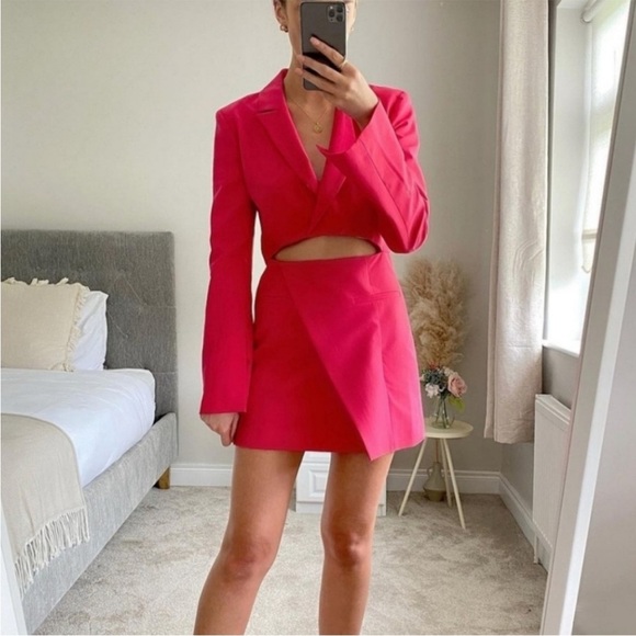 Zara Blogger Favorite Pink Cut-Out Dress - Picture 6 of 16
